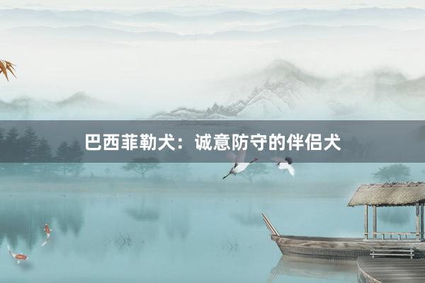 巴西菲勒犬：诚意防守的伴侣犬