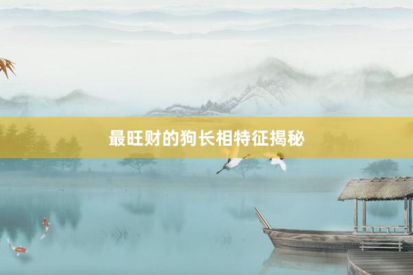 最旺财的狗长相特征揭秘
